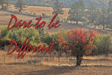 Dare to be Different by Larry McFerrin art print