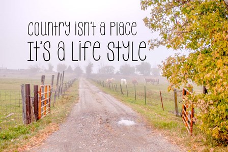 Country Style by Ramona Murdock art print