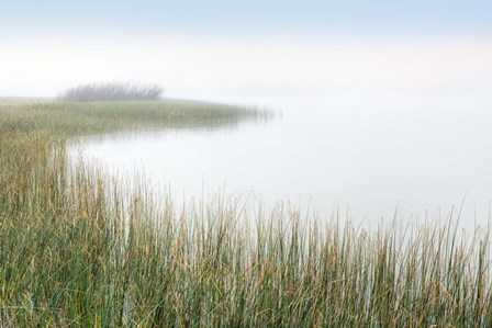 Crescent Beach Calm 2 by Alan Blaustein art print