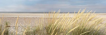 Island Sand Dunes by Alan Blaustein art print