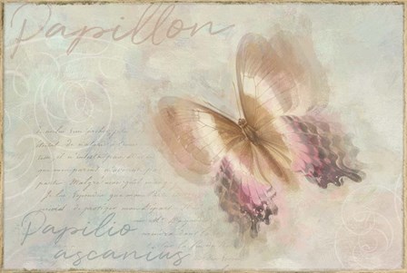 Papillon Butterfly Papilio ascanius by Cora Niele art print