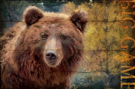 Big Game Bear by Cora Niele art print