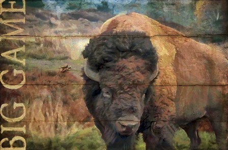 Big Game Bison by Cora Niele art print