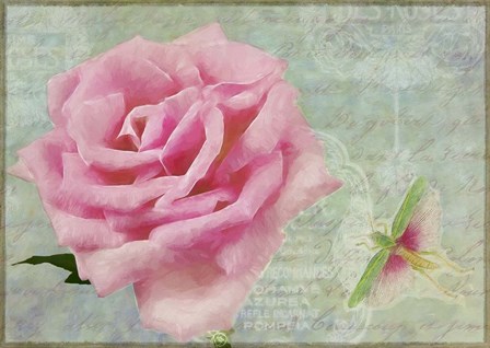 Pink Rose With Grasshopper II by Cora Niele art print