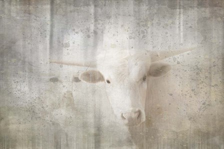 Antique Farm 10 by LightBoxJournal art print