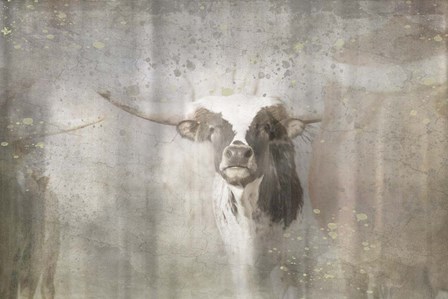 Antique Farm 11 by LightBoxJournal art print