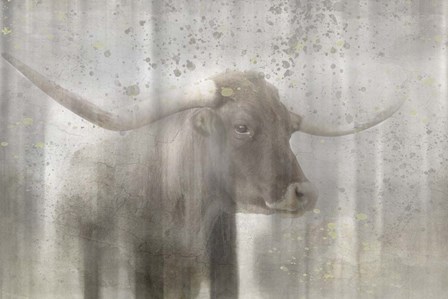 Antique Farm 19 by LightBoxJournal art print