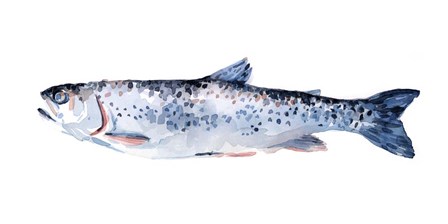 Freckled Trout III by Emma Scarvey art print
