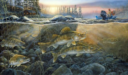 Walleyes On The Rocks by Terry Doughty art print
