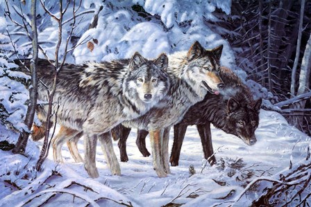 Out Of The Shadows by Terry Doughty art print