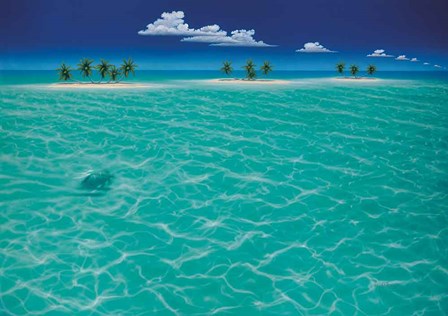 Turtle Crossing by Dan Mackin art print