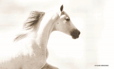 Dash III by Kari Brooks art print
