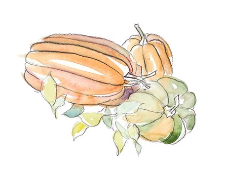 Harvest Pumpkin and Squash I by Lanie Loreth art print