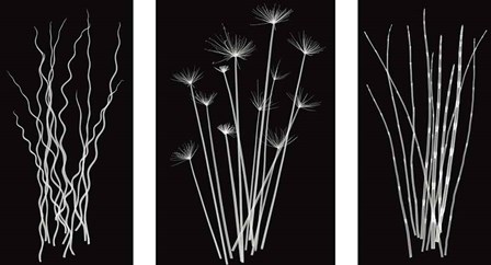 Three Rushes by Jim Wehtje art print