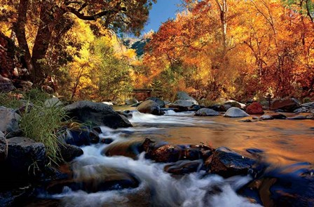 River Of Gold by Mike Jones art print
