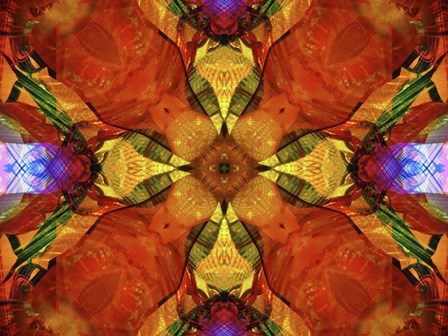 Colorful Kaleidoscope 10 by Anna Miller / Danita Delimont art print