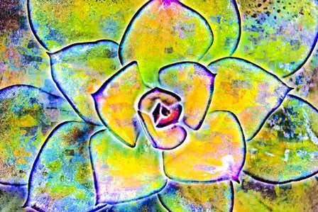 Succulent Dressed in Rainbow Colors 4 by Anita Vincze art print