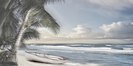 Palm Trees and a Boat B by David Manlove art print