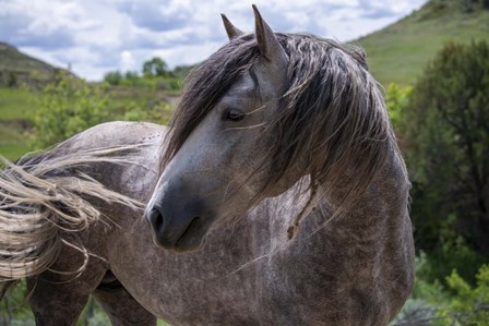 Enter the Badlands 4 by Gordon Semmens art print