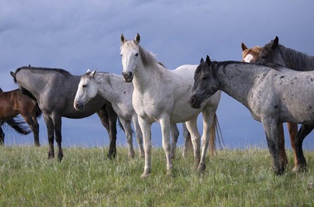 Enter the Badlands 7 by Gordon Semmens art print