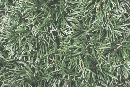 Nature&#39;s Textures II by Renee Stramel art print