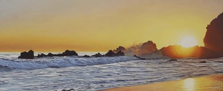 Golden Surf by Ron Parker art print