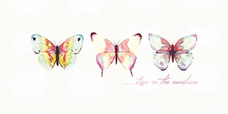 Live in the Sunshine by Dogwood Portfolio art print