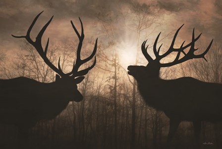 Elk Sunrise III by Lori Deiter art print