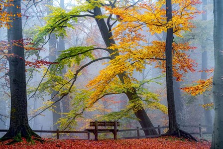 Take A Seat And Enjoy by Lars Van De Goor art print