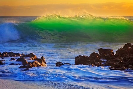 Backlit by Patrick Zephyr art print