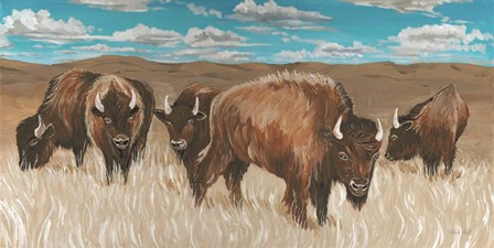 Bison Herd I by Cindy Jacobs art print