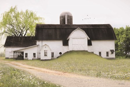 Big Country Barn by Lori Deiter art print