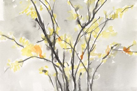 Blissful Elegance II by Sam Dixon art print