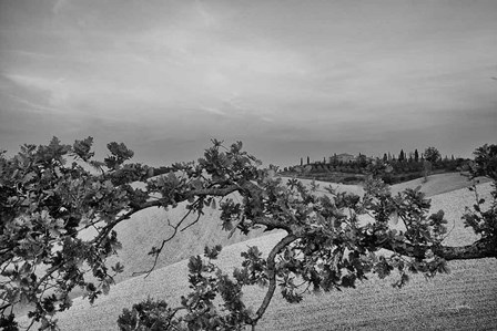 Villa View by Aledanda art print