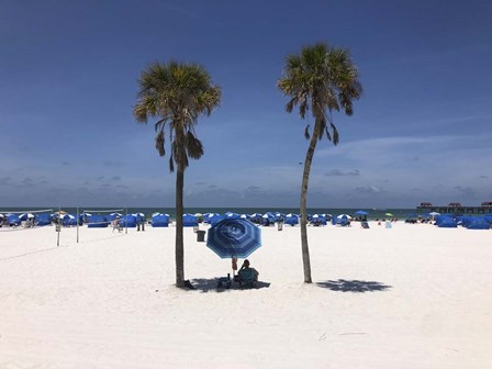 Umbrella, Chairs and Palm Trees on Clearwater Beach, Florida by Ryan Rossotto/Stocktrek Images art print