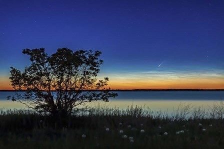 Comet NEOWISE Over Deadhorse Lake by Alan Dyer/Stocktrek Images art print