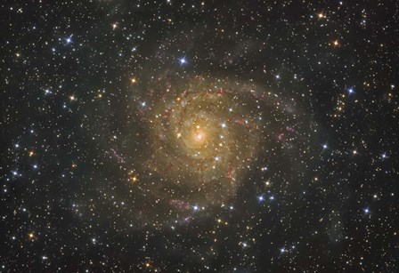 Intermediate Spiral Galaxy IC 342 by Lorand Fenyes/Stocktrek Images art print