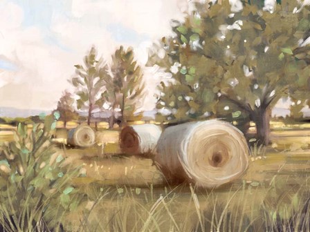 Hay Bales by Nina Blue art print