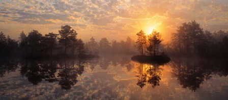 Knuthojdmossen Nature Reserve Sweden by Panoramic Images art print