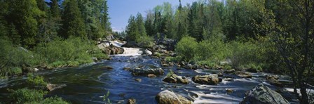 Waterfall in the forest, Michigan by Panoramic Images art print