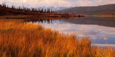 Wonder Lake &amp; Alaska Range Denali National Park by Panoramic Images art print