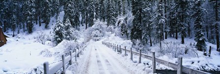 Snowy Bridge Lake Tahoe by Panoramic Images art print