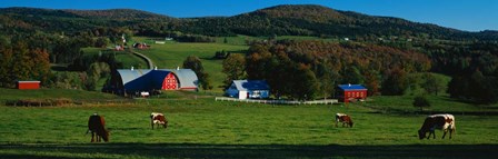 Diamond Heart Farm by Panoramic Images art print