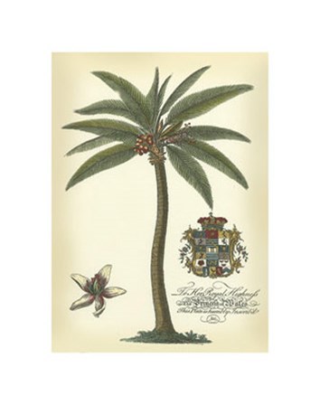 Palm and Crest I art print