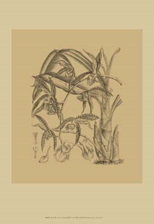 Orchid on Khaki(WG) I by Samuel Curtis art print