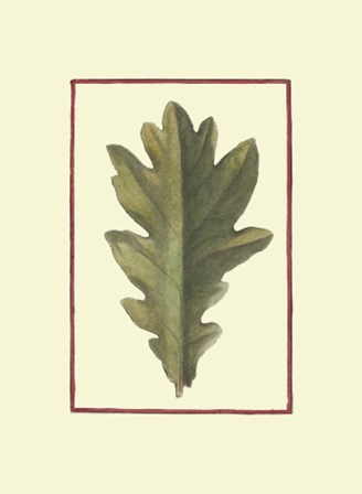 Vintage Leaf IV by Vision Studio art print