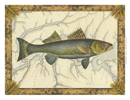 Walleye on Map by Vision Studio art print