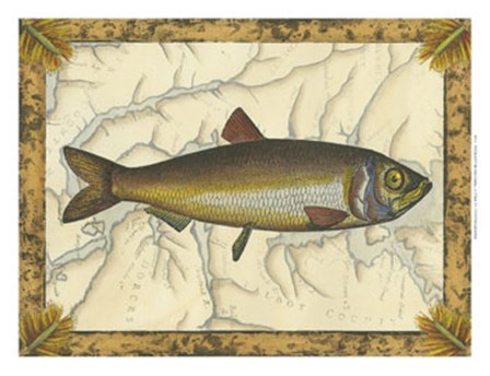 Herring on Map by Vision Studio art print