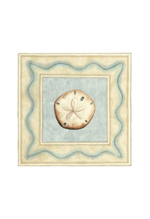 Shell Collector I by Megan Meagher art print