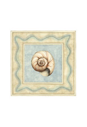 Shell Collector II by Megan Meagher art print